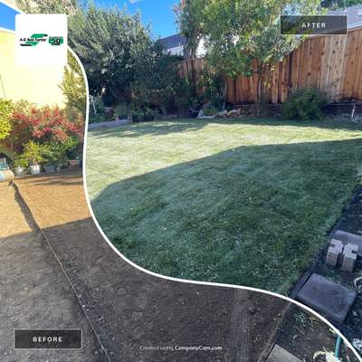 Project in San Carlos