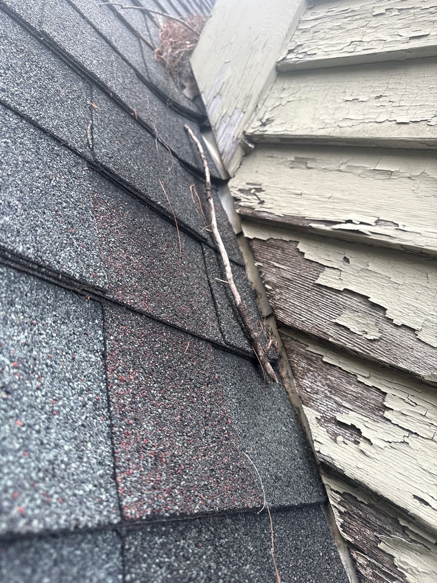 Wood Clapboard Siding Restoration | Pepperell, MA by Mighty Dog Roofing of Greater Middlesex County