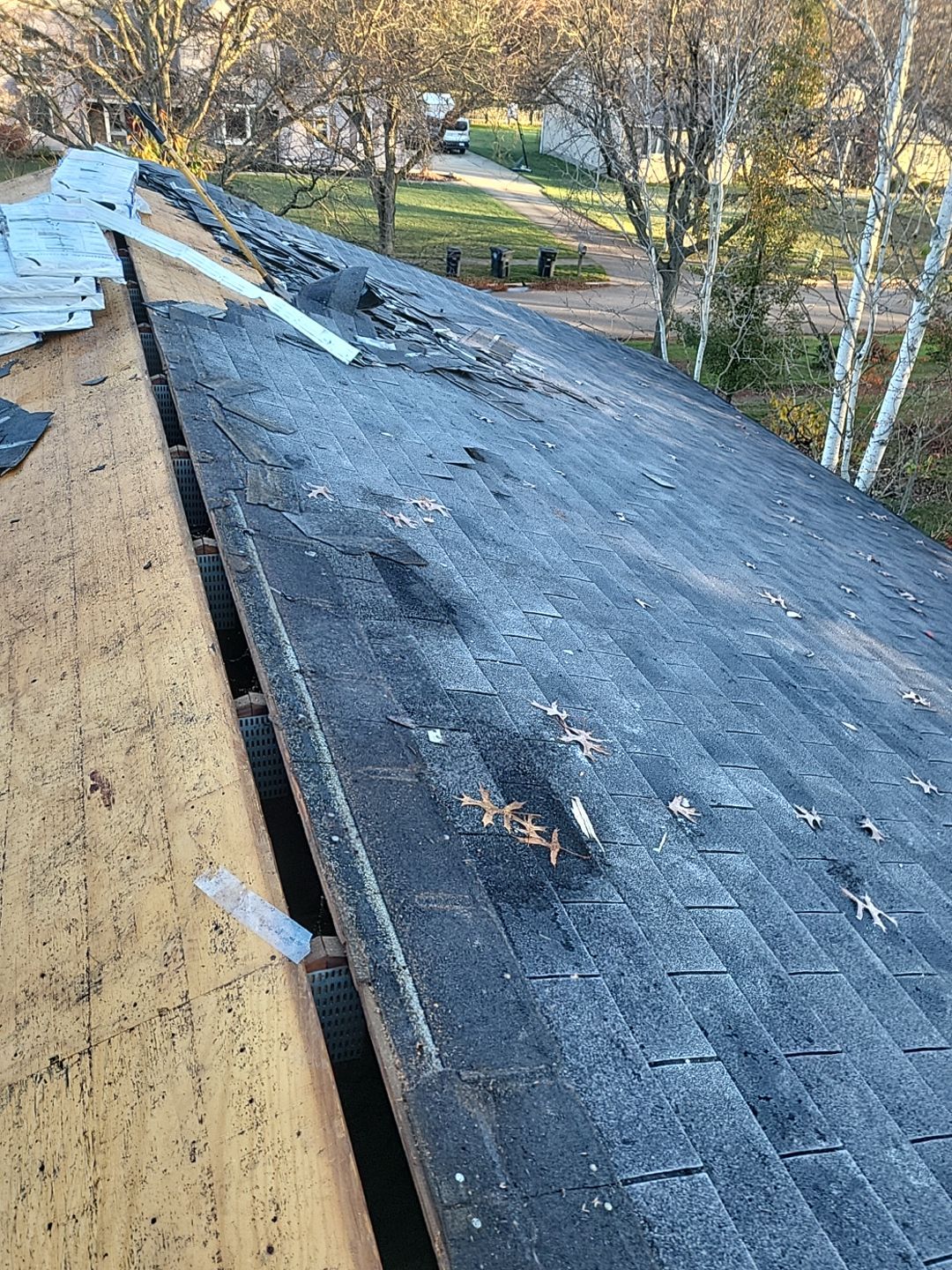 ATLAS PINNACLE COLOR: BLACK SHADOW DRIP EDGE: BLACK by Eagle Eye Roofing