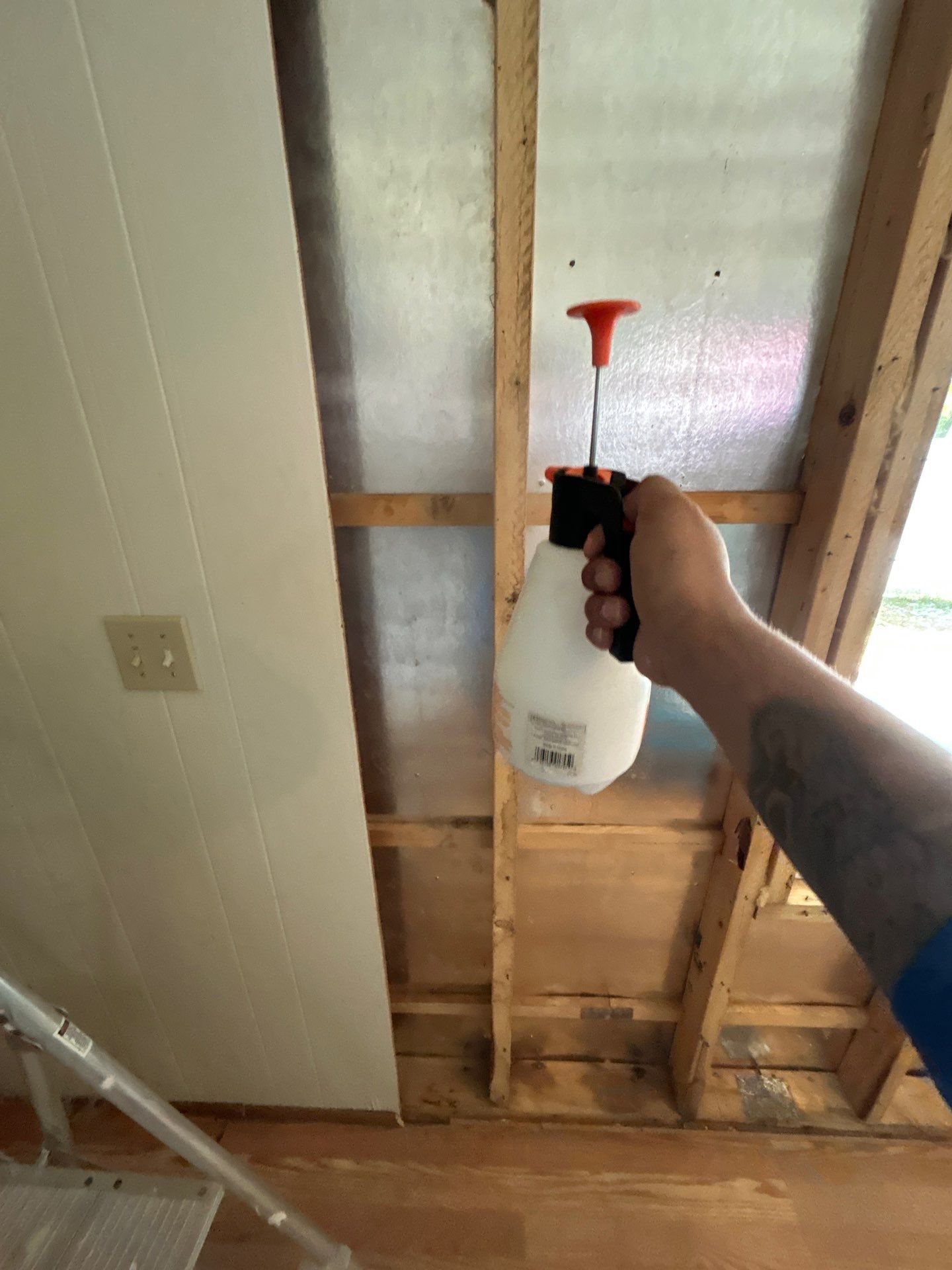 Mold Remediation Bradenton by Ampm Restoration Services 