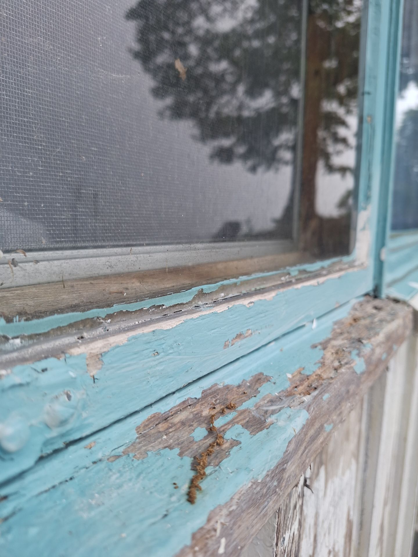 Lakeside Cottage Exterior Painting and Teal Trim Restoration in Mears by Gordon Painting