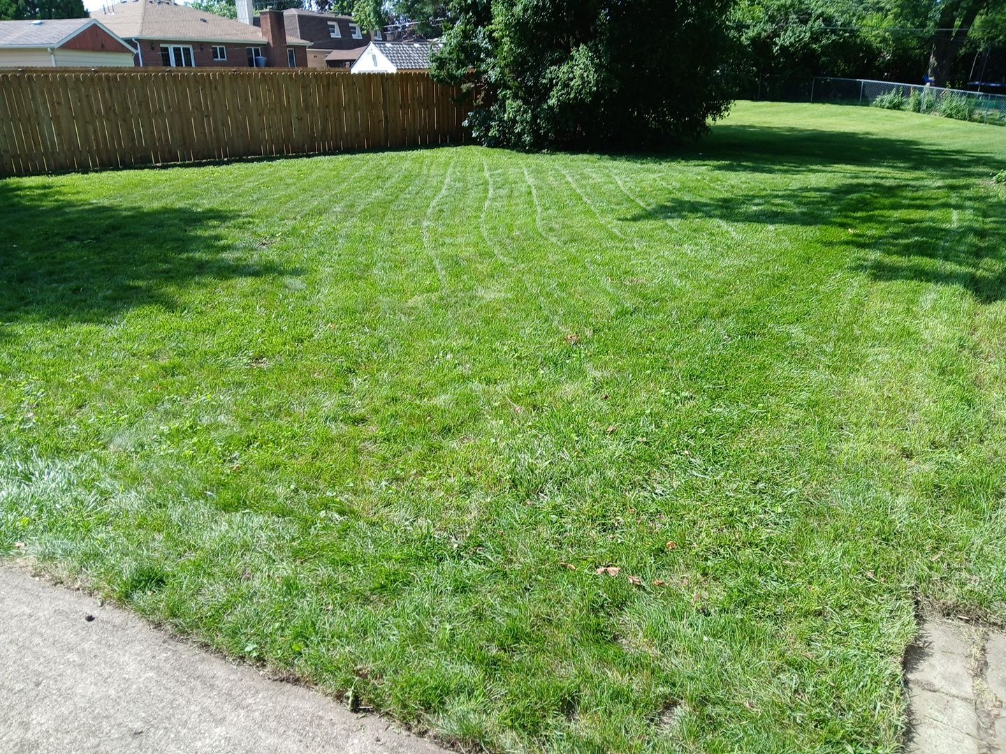 Justin M. - Mount Prospect, IL by A&N 