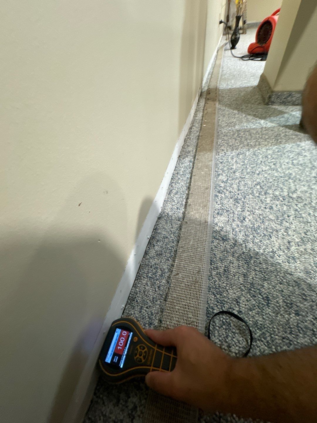 Project in Sterling Heights by EzDry Water Mitigation & Property Restoration