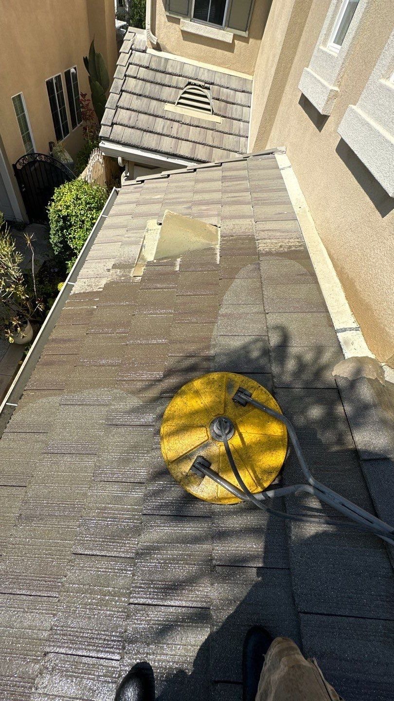 Laguna Niguel Roof Washing for Insurance Renewal by Property Cleaning Experts