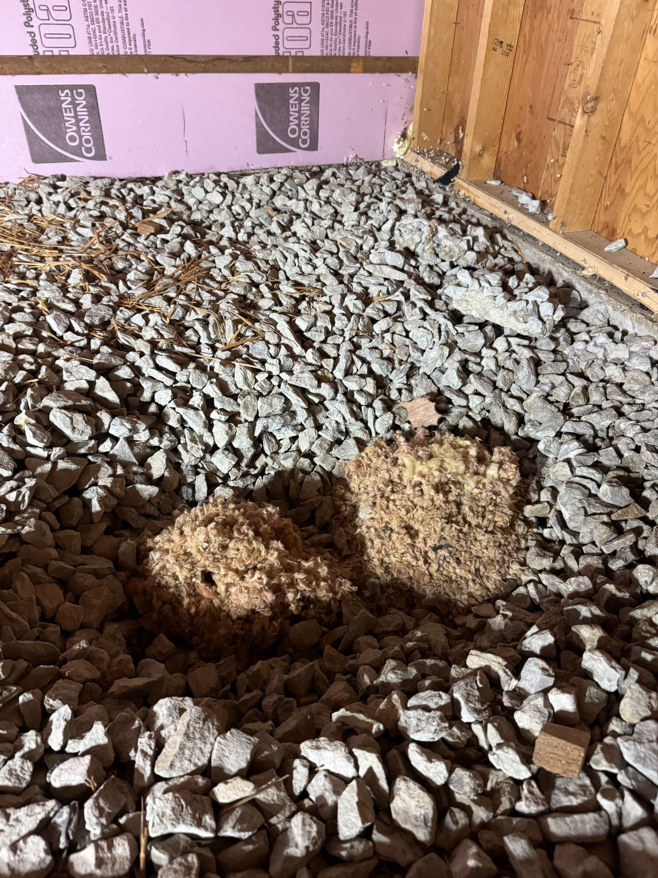 Jump Up Crawlspace Encapsulation by Area Wide Waterproofing