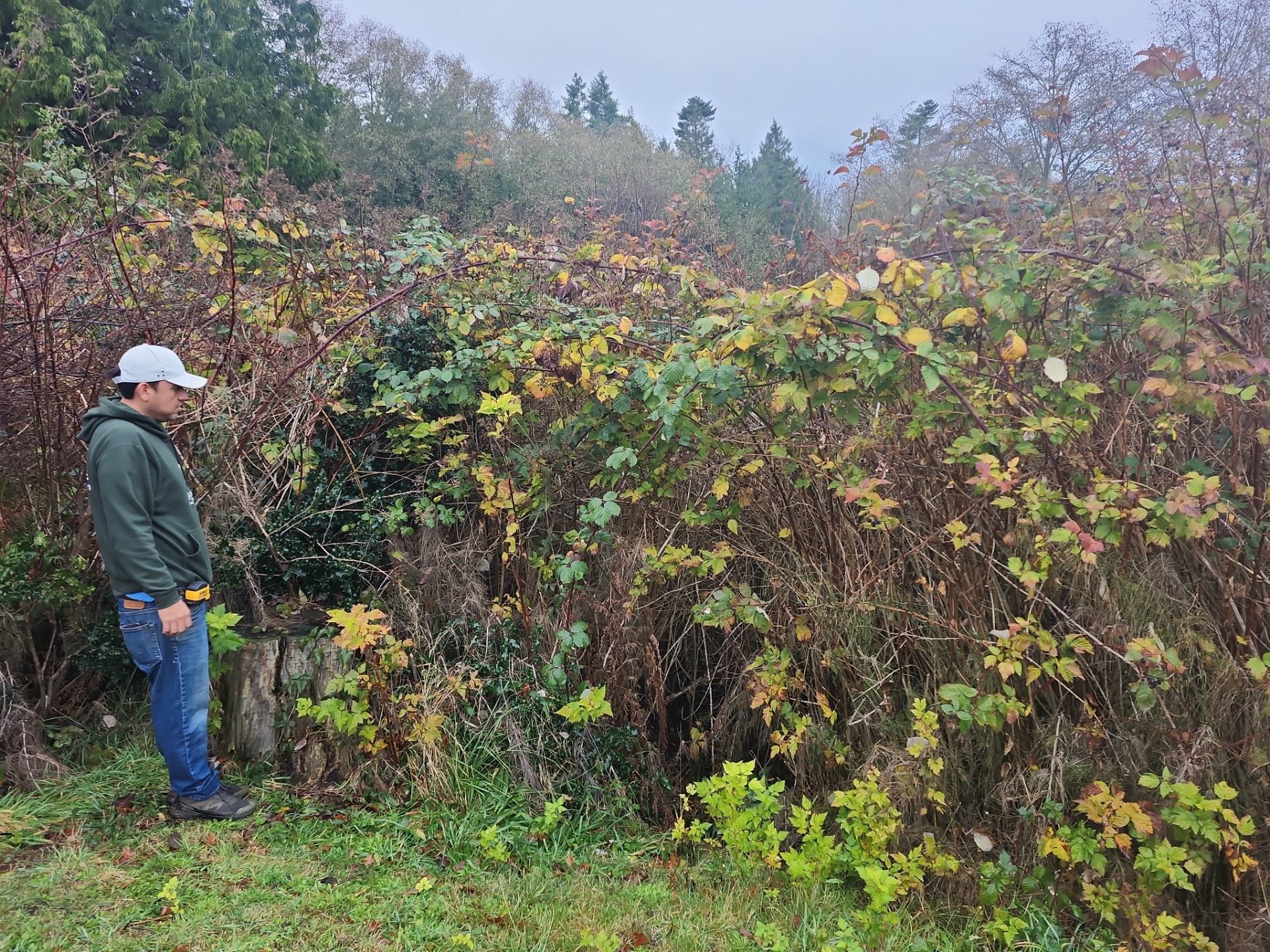 Island View - Ecological Restoration & Stewardship by Habanero Landscape Solutions