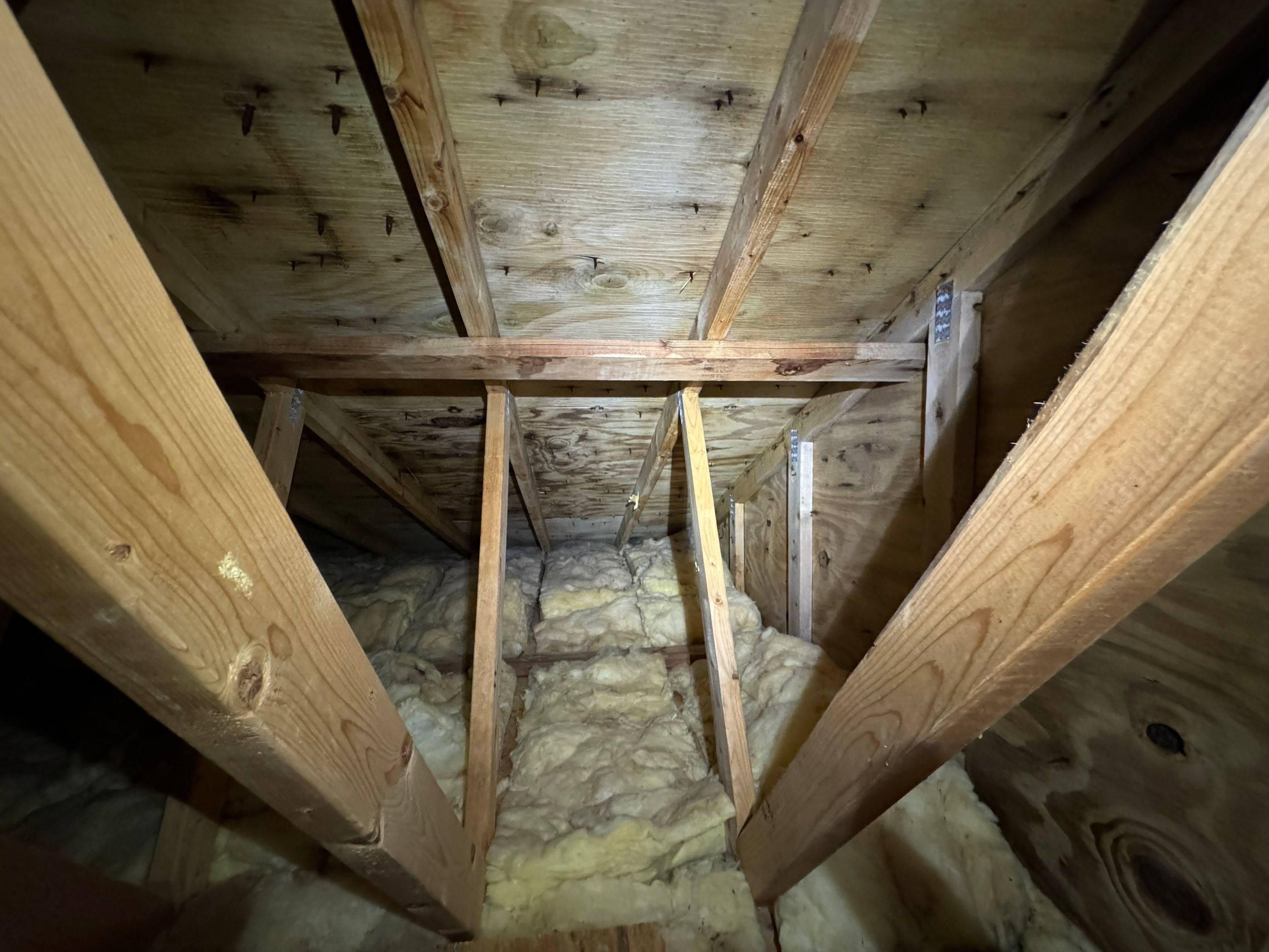 Attic & Sunroom Mold Remediation by Home Guarantee, LLC
