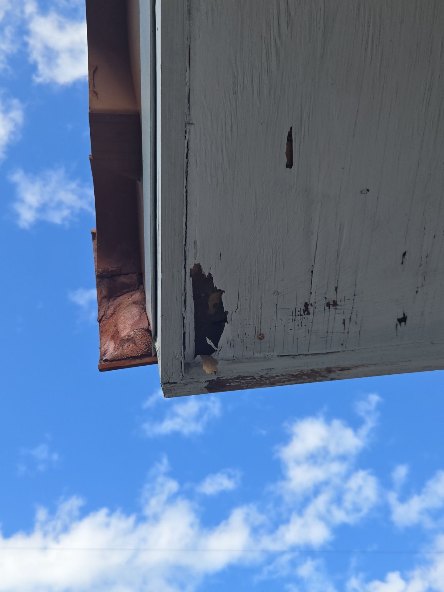 Residential Full Exterior  by John “The Greek” Painting