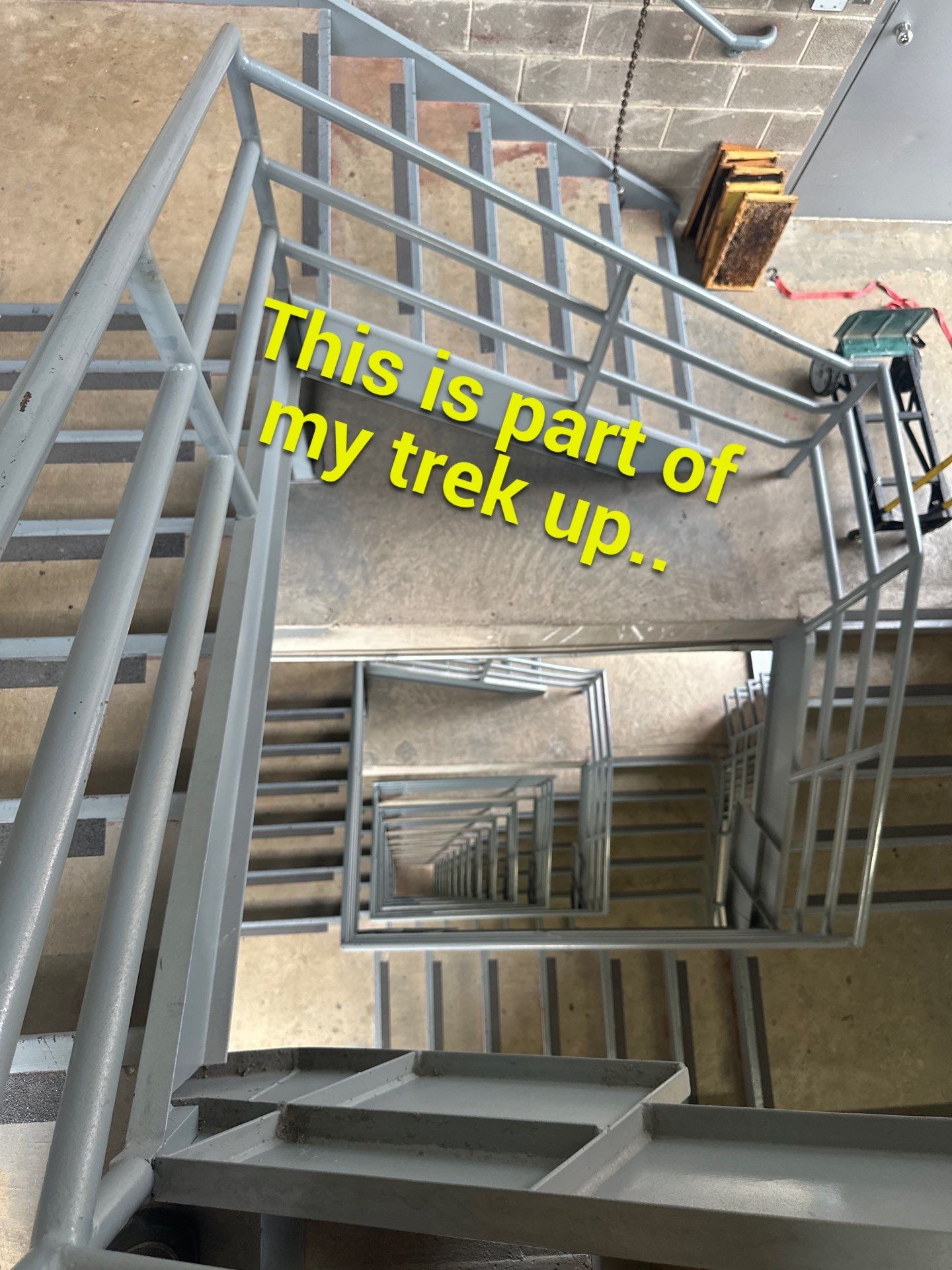 Downtown Dallas by Rockwall Honey Bee Company