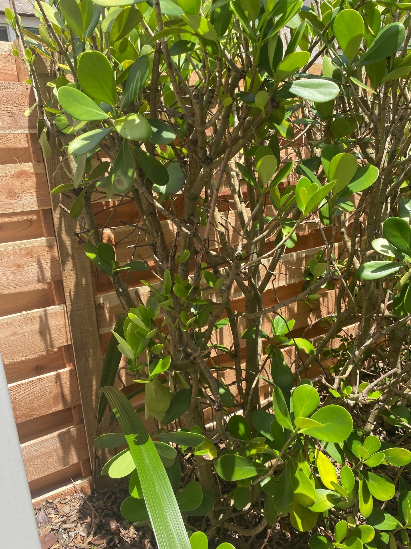 4434 Diamond Cir S by H&Y Fence