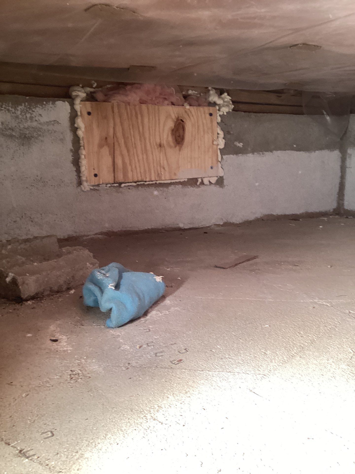 Crawlspace cleaning by Newhouse Restoration