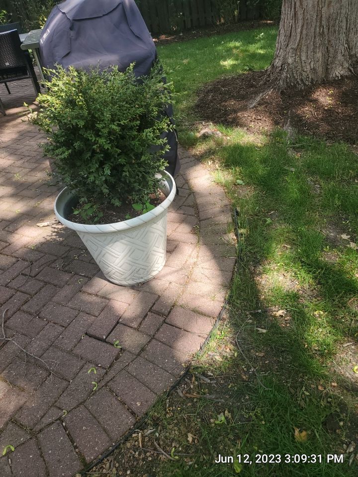 brick paver repair, clean and seal using Surebond SB-1300 by Northern Power Washing LLC.
