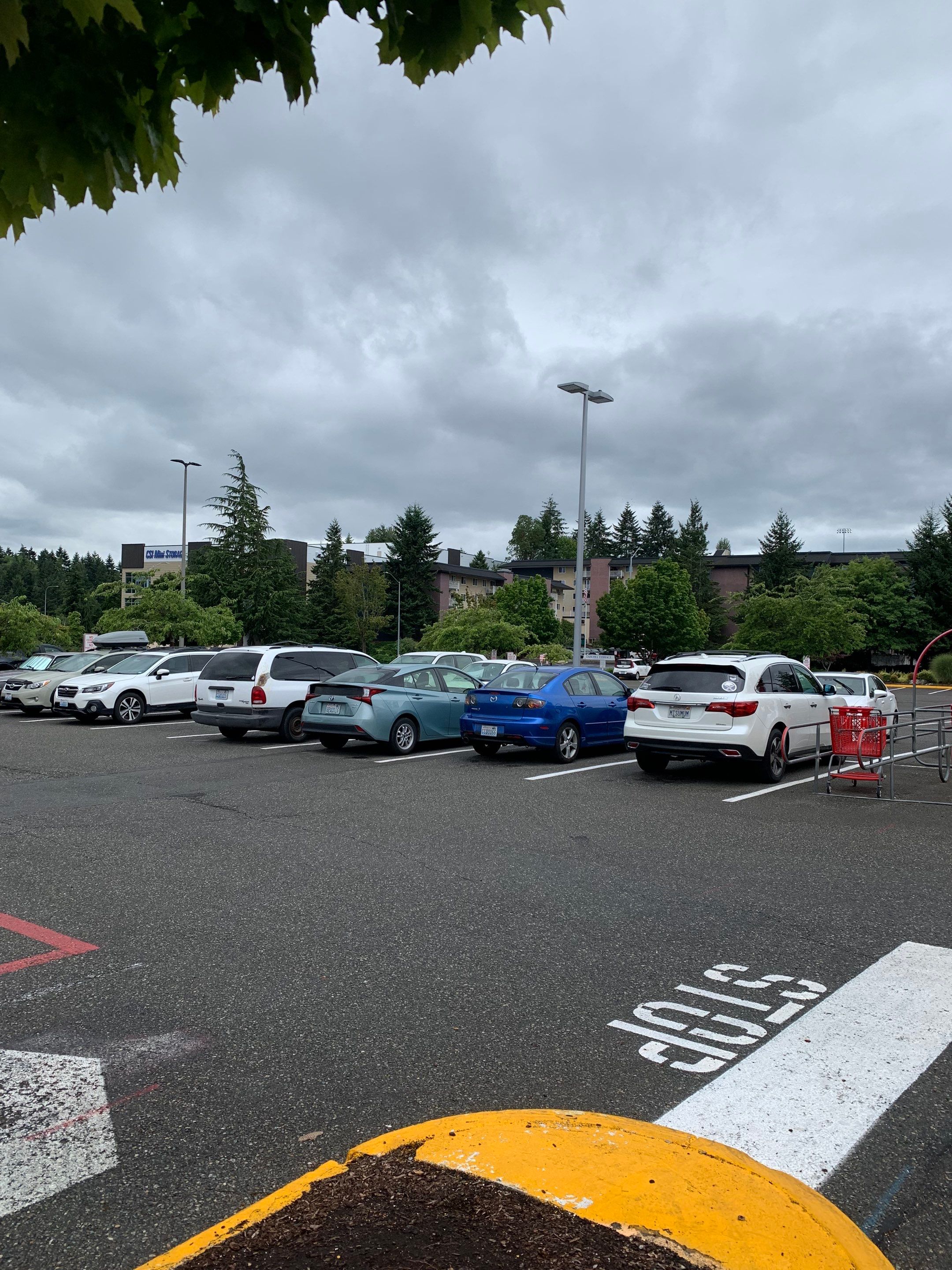 Trisha | Asphalt Parking Lot Repair   by Jireh Asphalt & Concrete Inc 