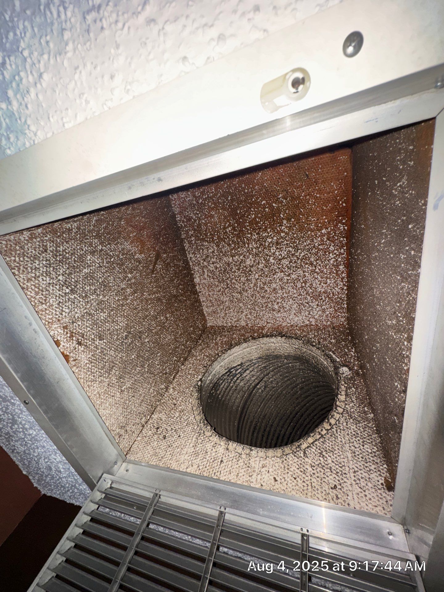 MOLD by SuperClean 