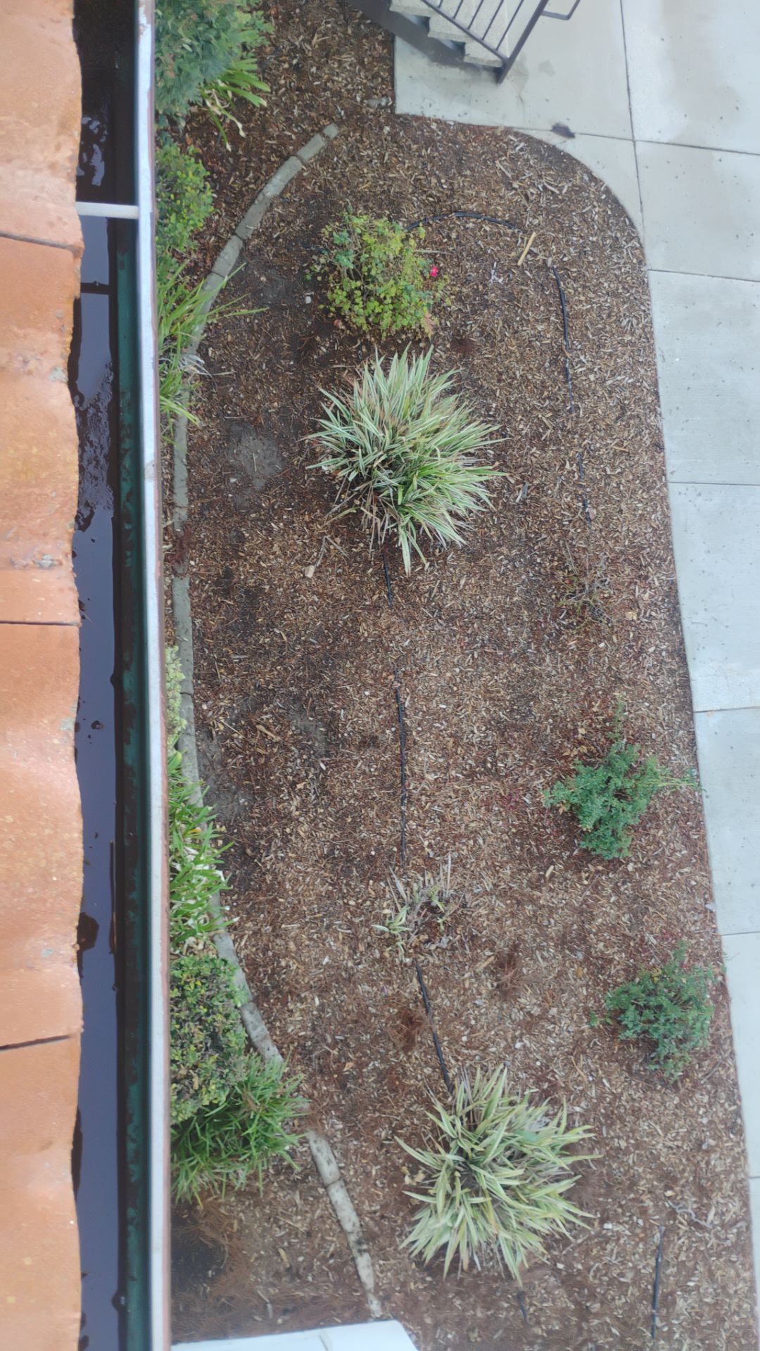HOA gutter cleaning after photo.