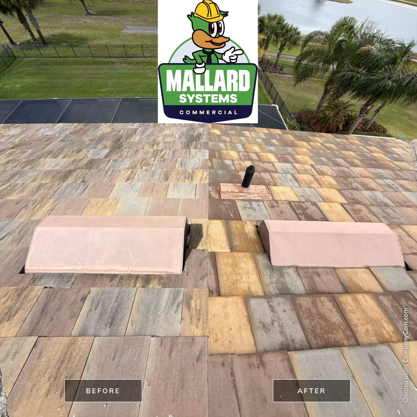 Flat Tile Roof Cleaning by Mallard Systems