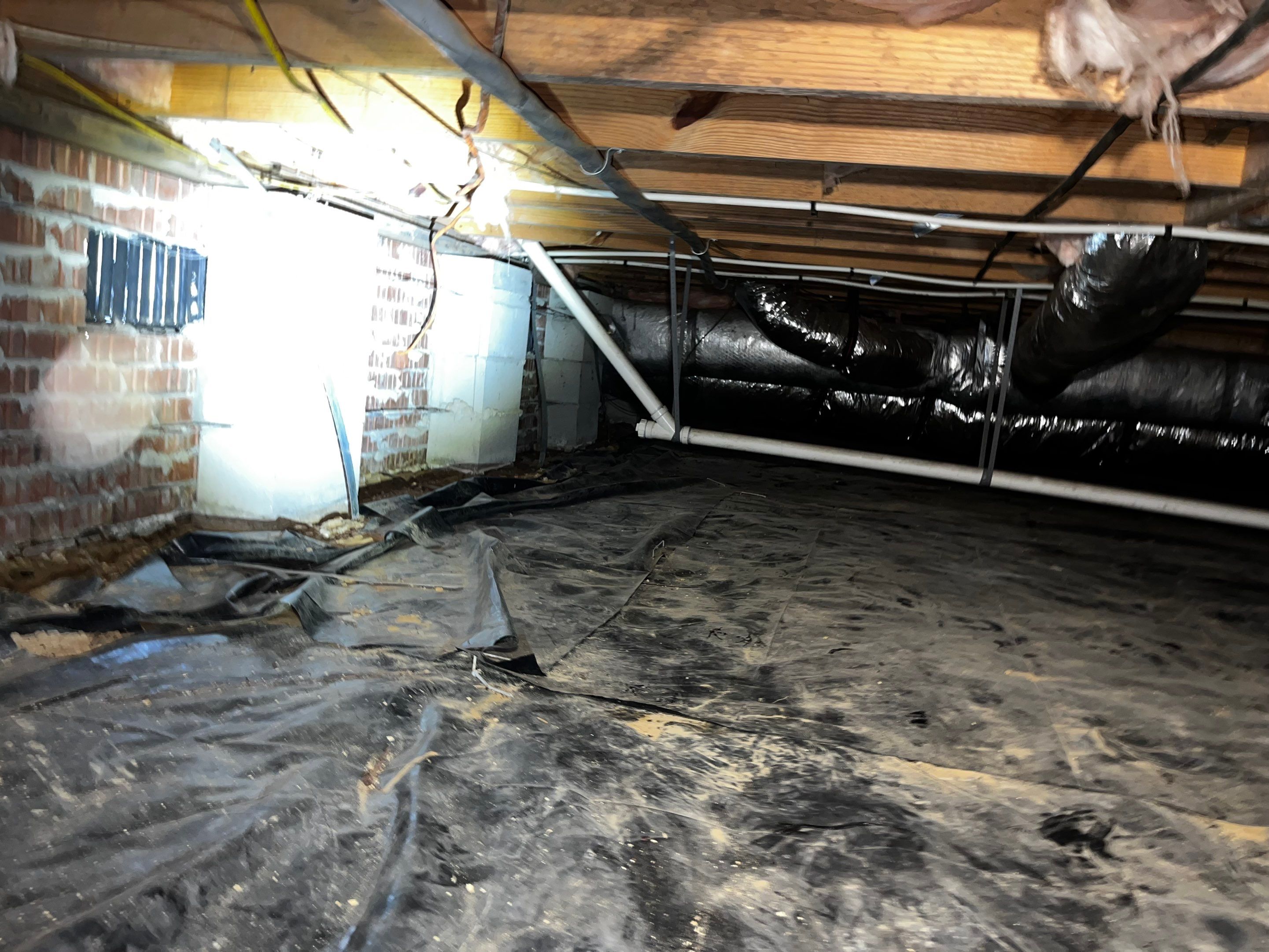 Impact Choice Encapsulation with Mold Removal. by Impact Crawlspace