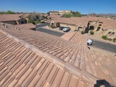 ☀️ Tile Reset Complete in Mesa, AZ