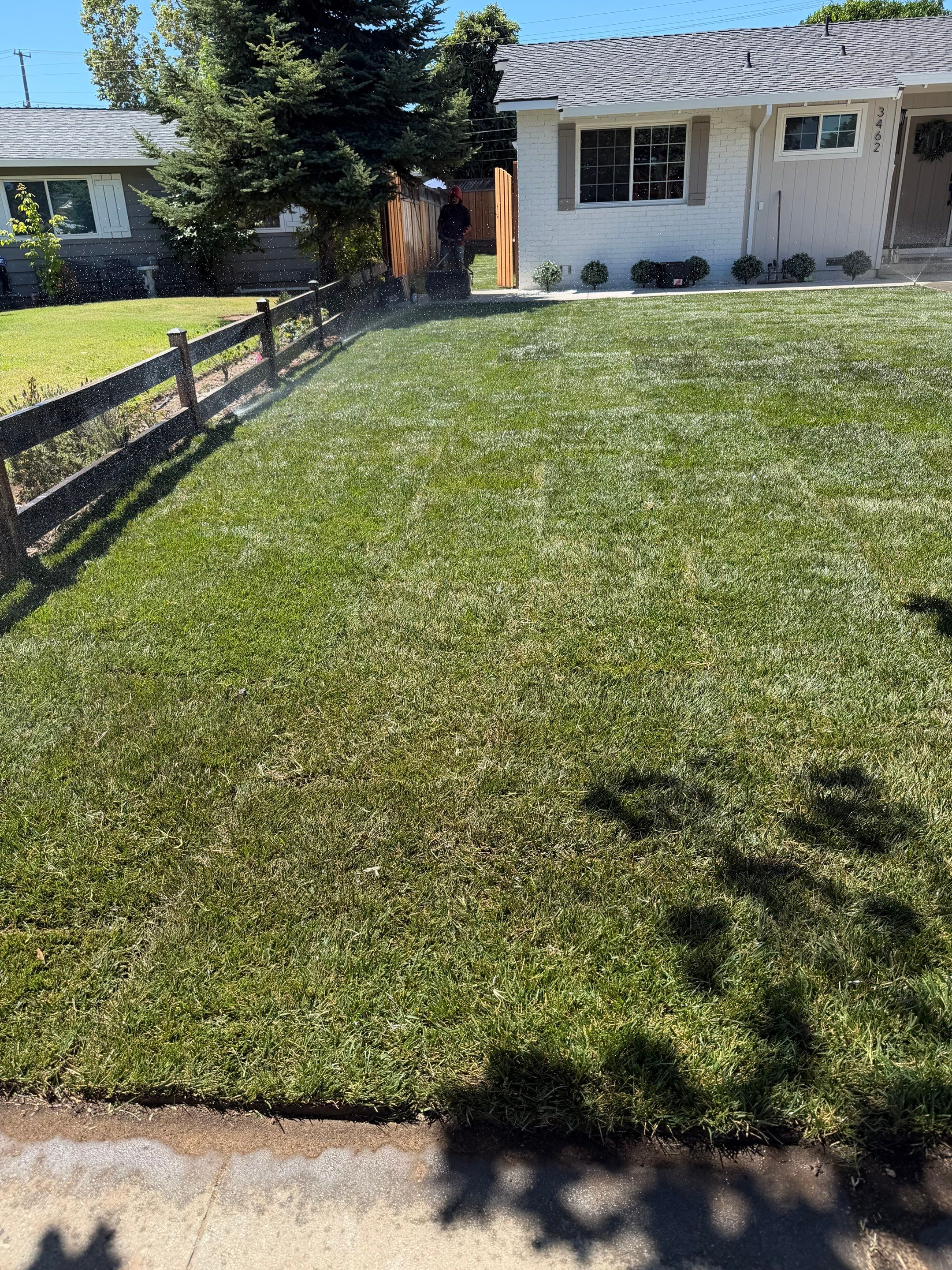 Project in San Jose by A - G Sod Farms