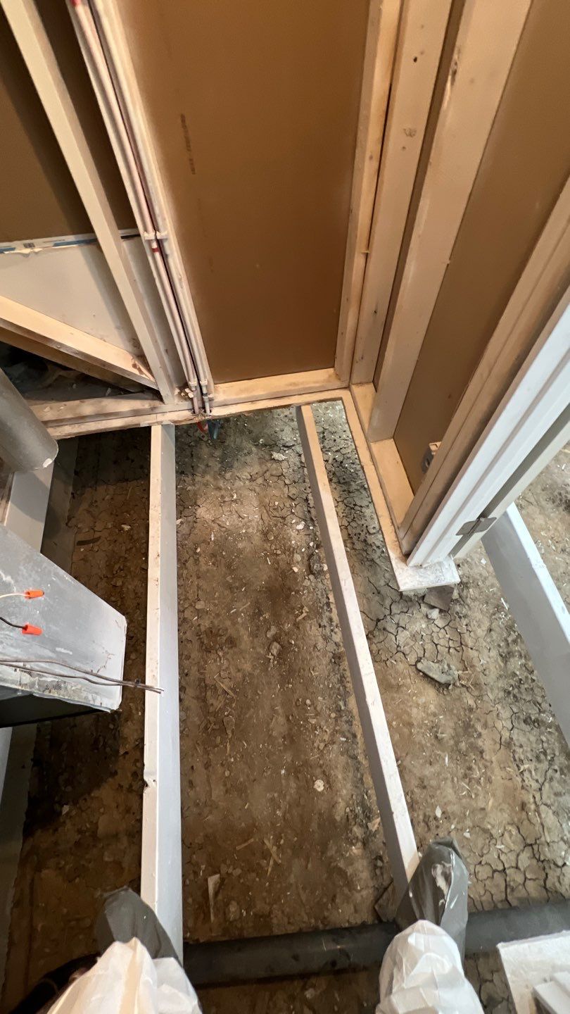 Mold Remediation by Accountable Home Services