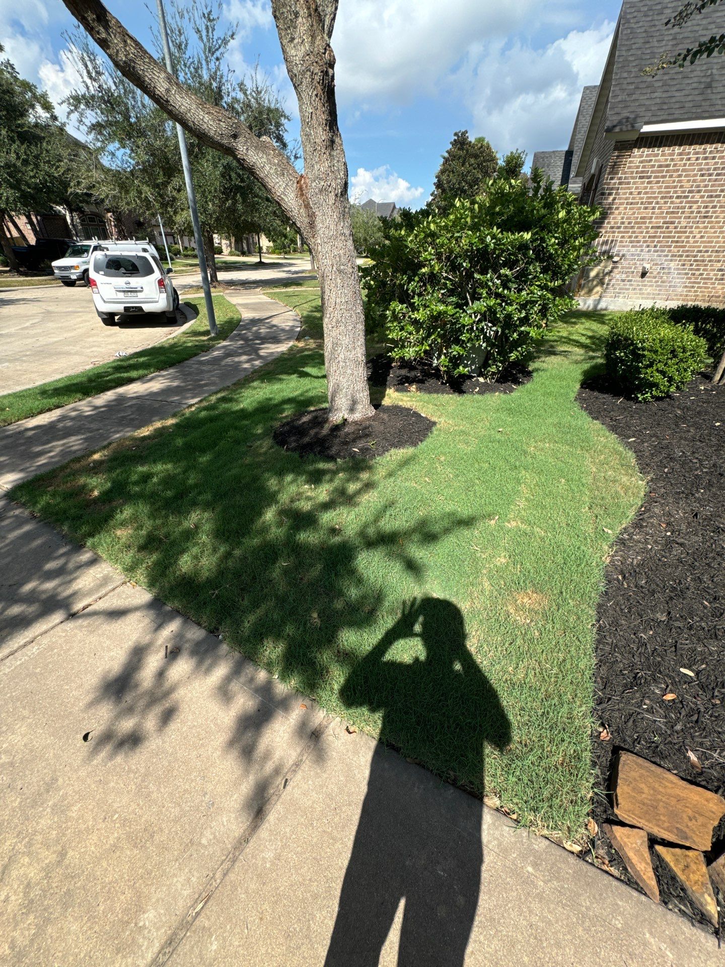 🌿🏡 Project Spotlight: Front Yard Curb Appeal Rescue for Mr. B. Khara by Texas Urban Elements