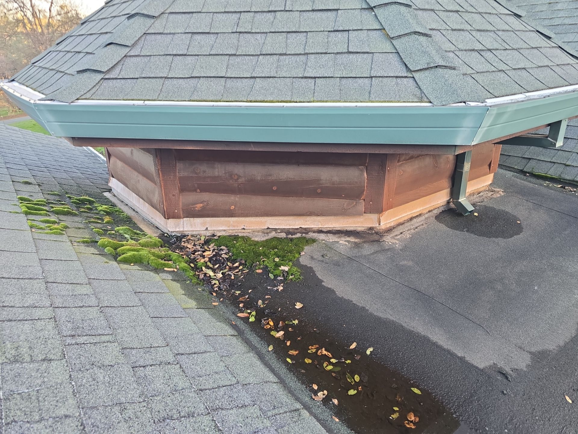 Roof Rejuvenation using Roof Maxx Treatment by Roof Maxx of Folsom
