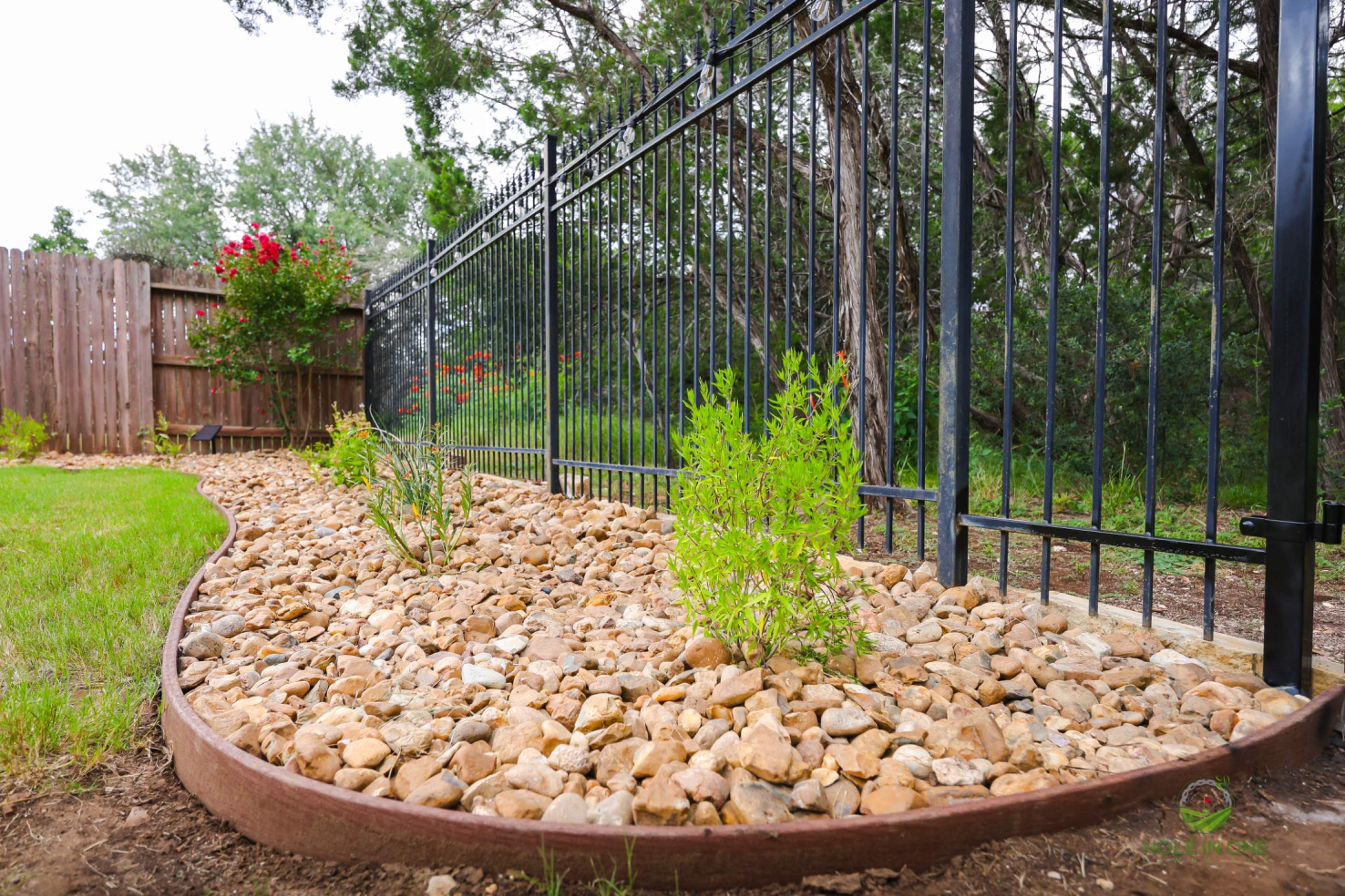 Wortham Oak, San Antonio Tx. by Hole In One Lawns, LLC