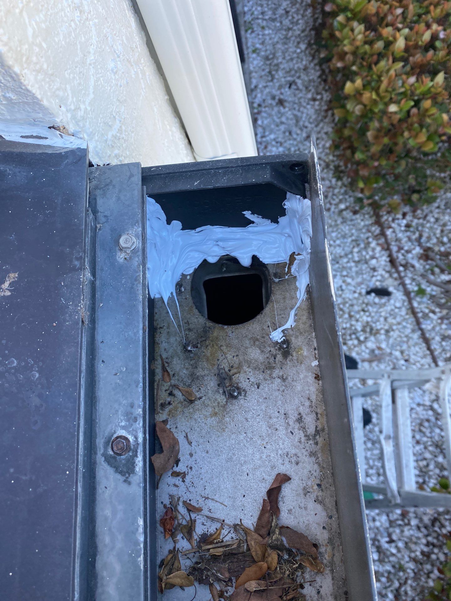 Gutter cleaning all buildings are the same for 6 units in Fort Myers FL by Gutter Professors