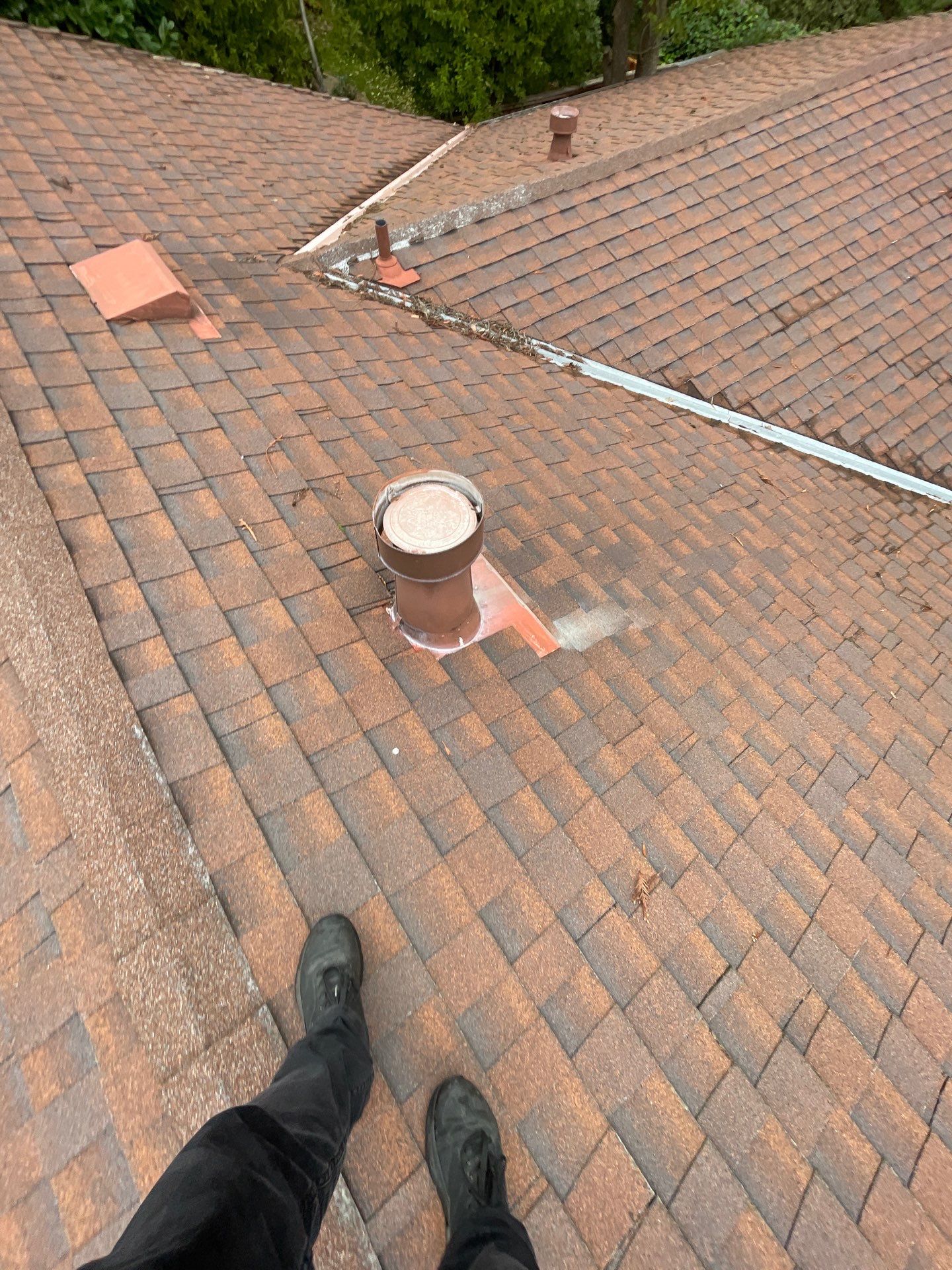 Roof Rejuvenation using Roof Maxx Treatment by Roof Maxx of Folsom