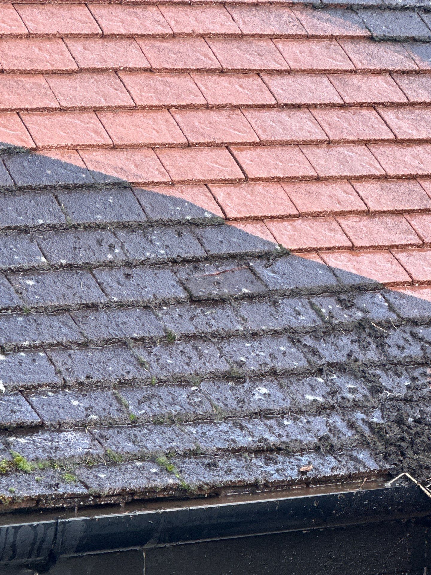 Roof Clean  - Moss Removal - Gutter Clean using Honda 15lpm Low Pressure Washing Machine by Ges Exterior Cleaning ltd