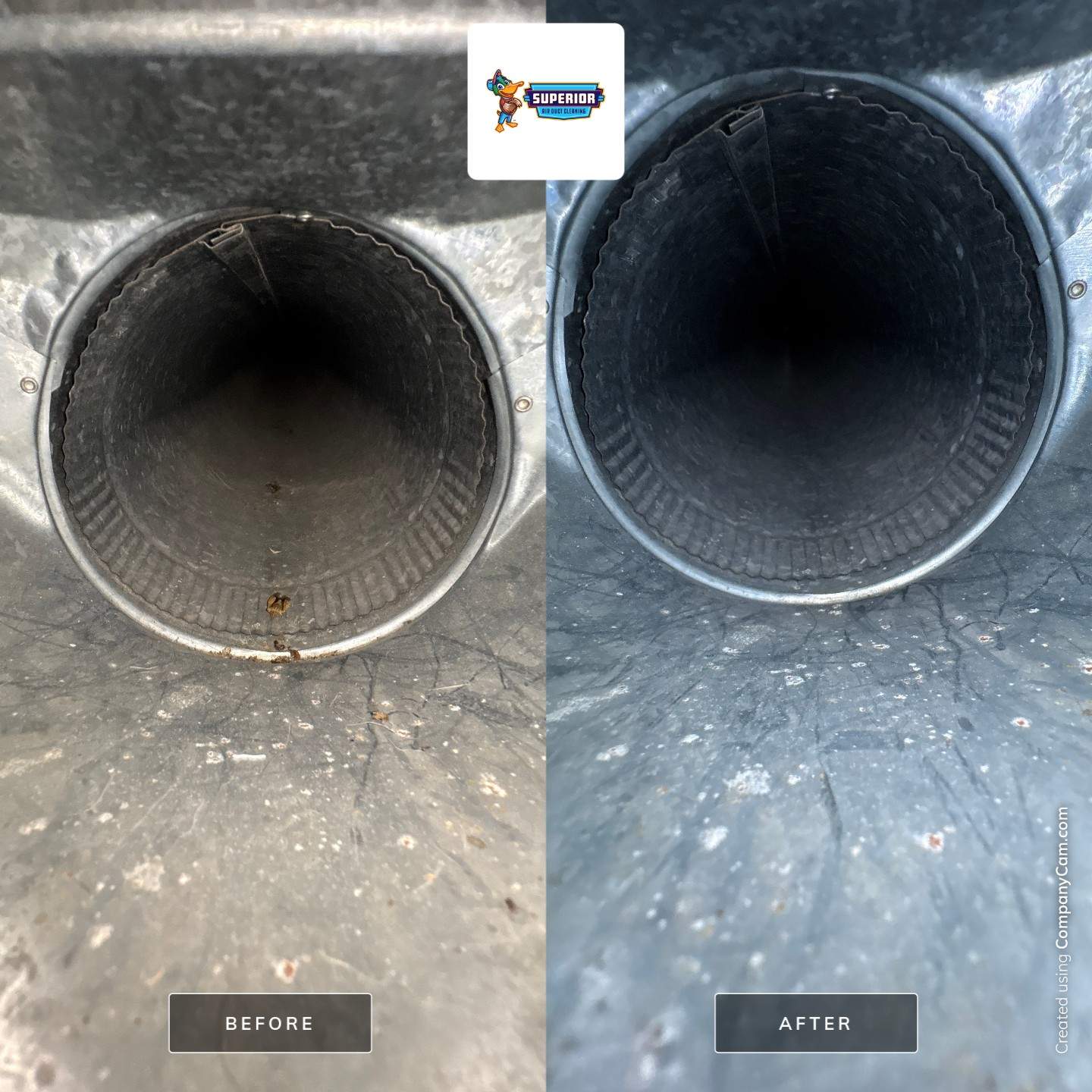 Comprehensive HVAC Air Duct System Cleaning for a Georgetown Home by Superior Air Duct Cleaning