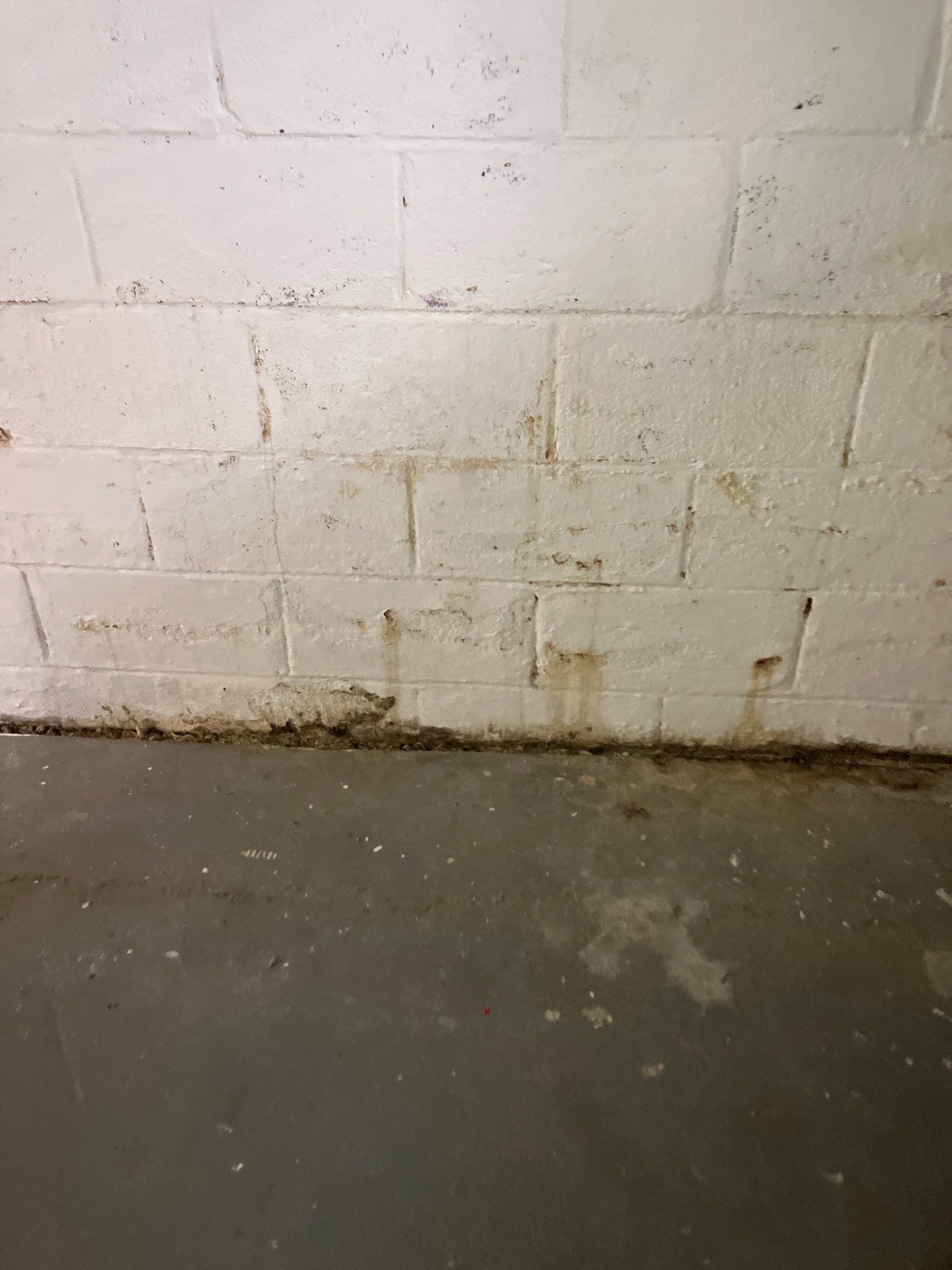 Utility Basement Mold Remediation and Sanitation Corner Case Study by Right On Time Restoration
