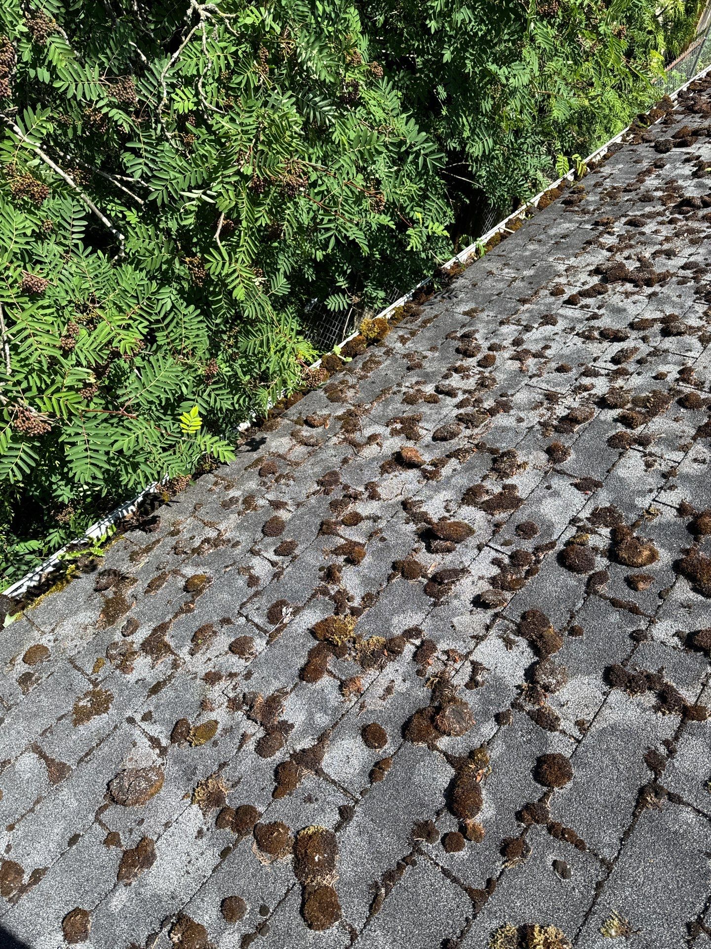 Project by Connolly Construction Company by Peaks and Valleys Construction