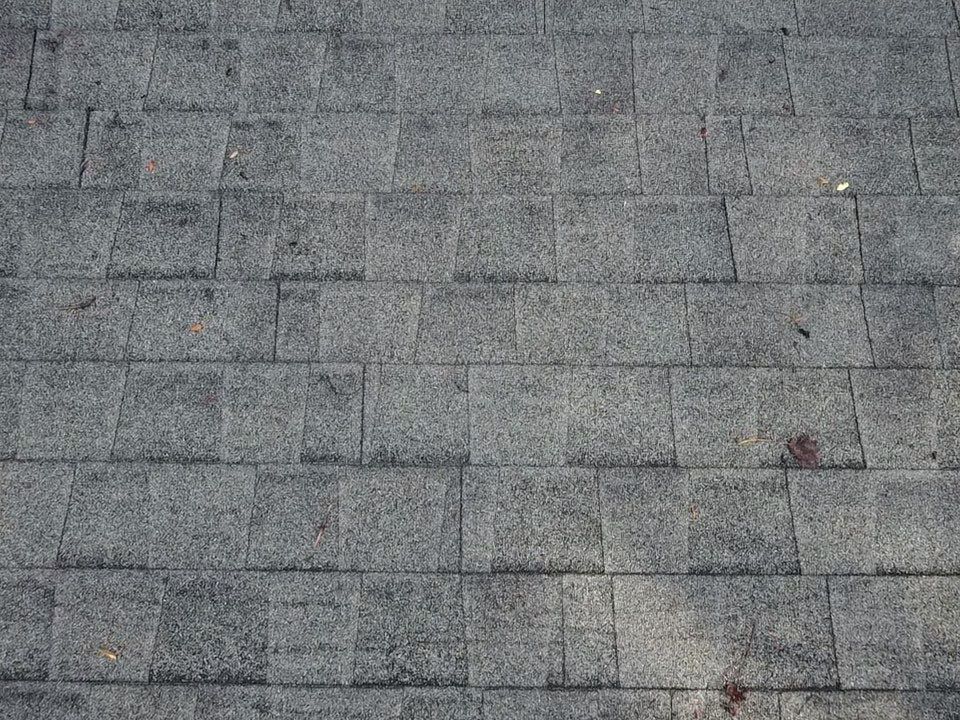 Project in Louisa by Roof Maxx of Midlothian