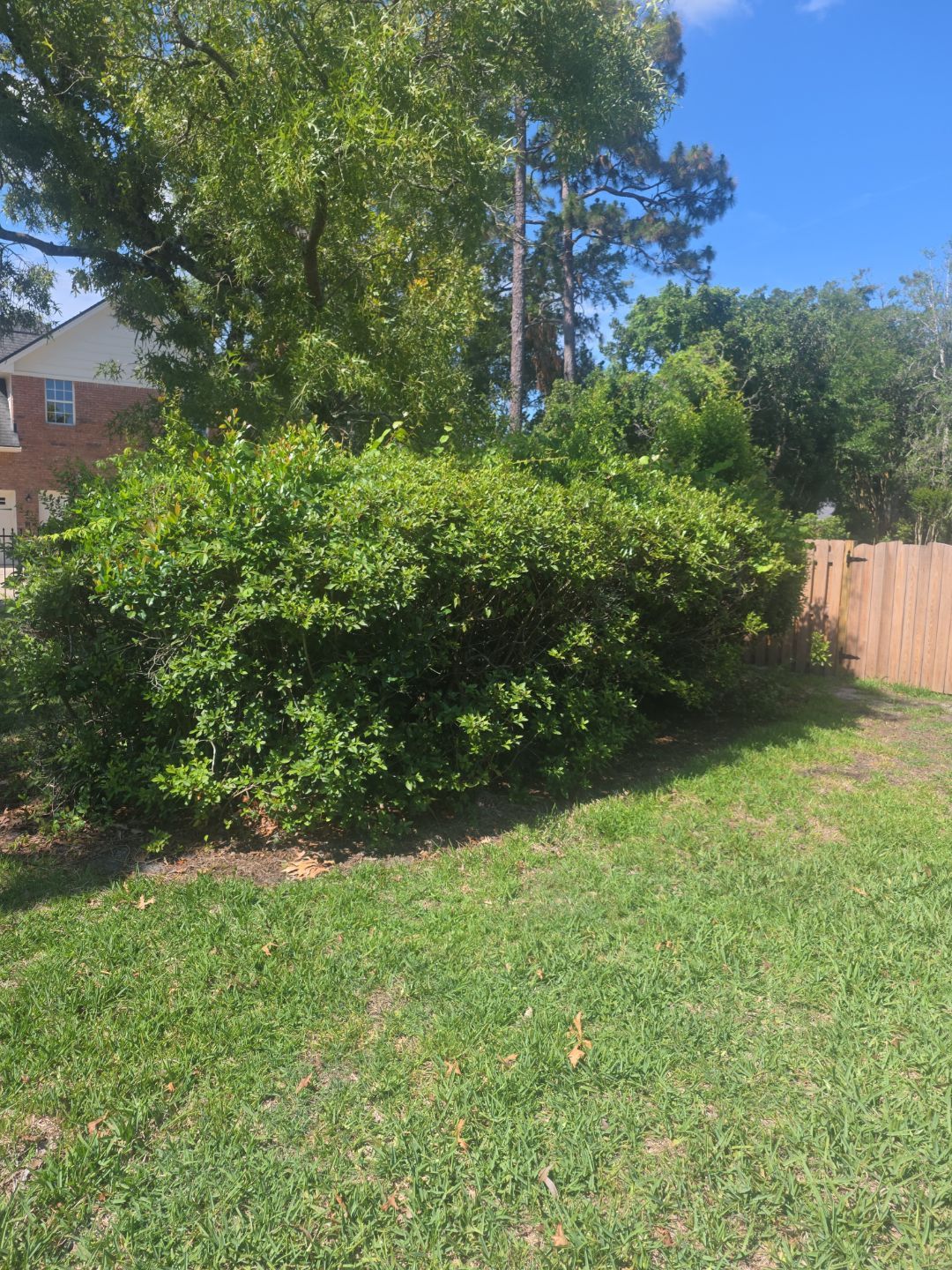 Deerwood Resident | Landscaping & Sod by ProGreen Services