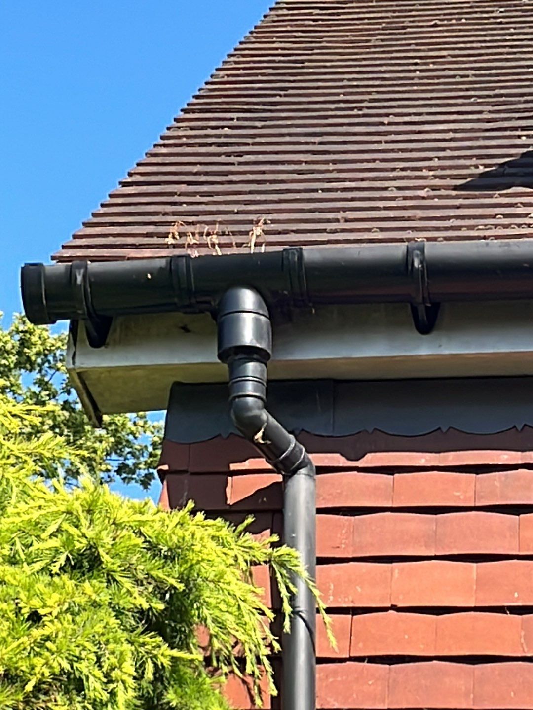 Roof Clean - Biocide Treatment using Honda 15lpm Low Pressure Washing Machine by Ges Exterior Cleaning ltd