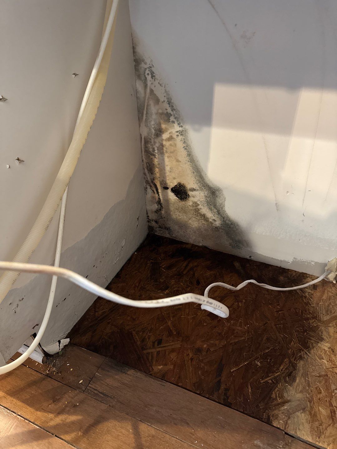 Project in West Bloomfield Township by EzDry Water Mitigation & Property Restoration