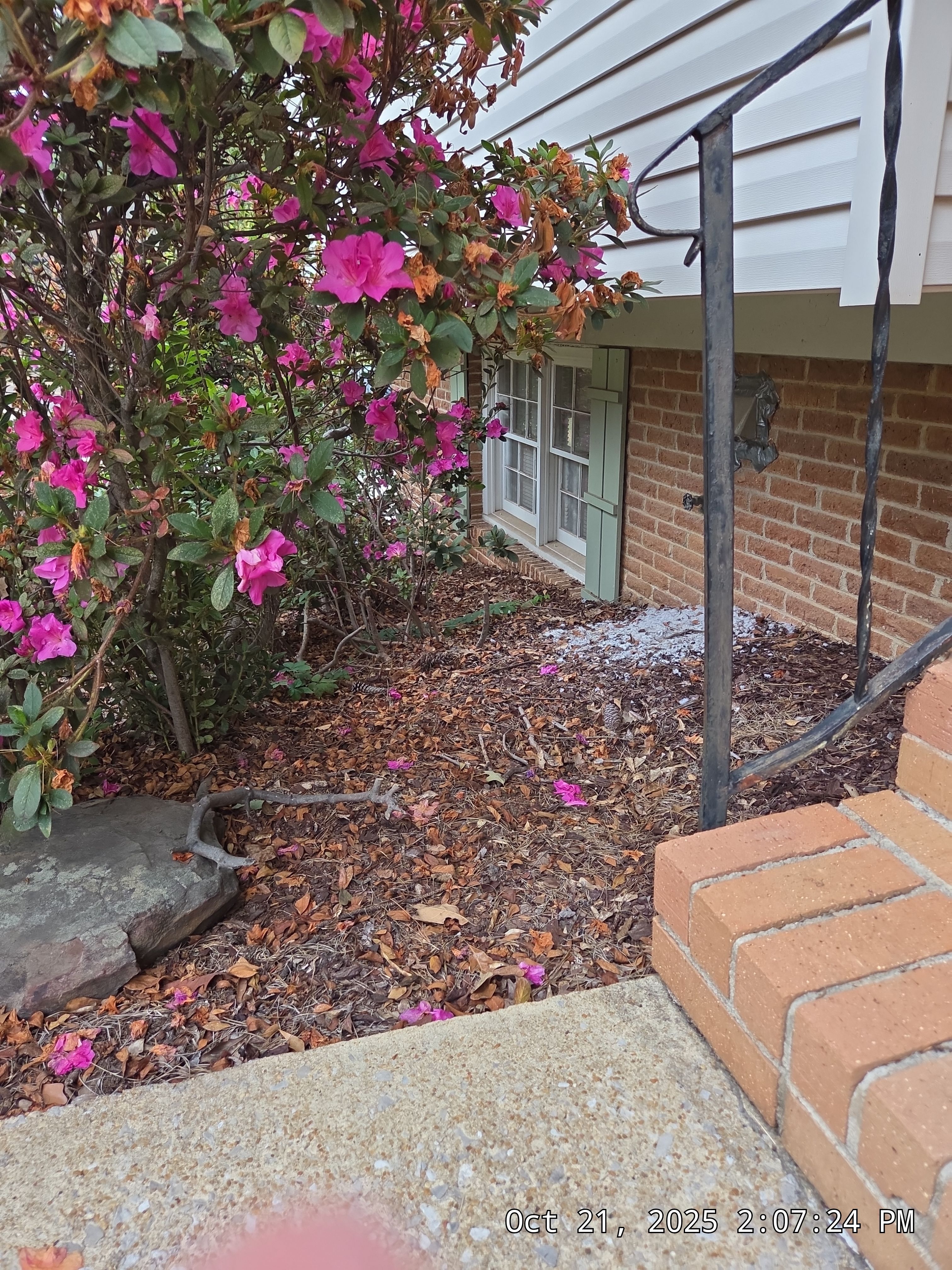 Bontrager Project in Vestavia by The Window Source