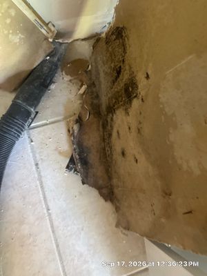Emergency Water Extraction — Fort Myers, FL