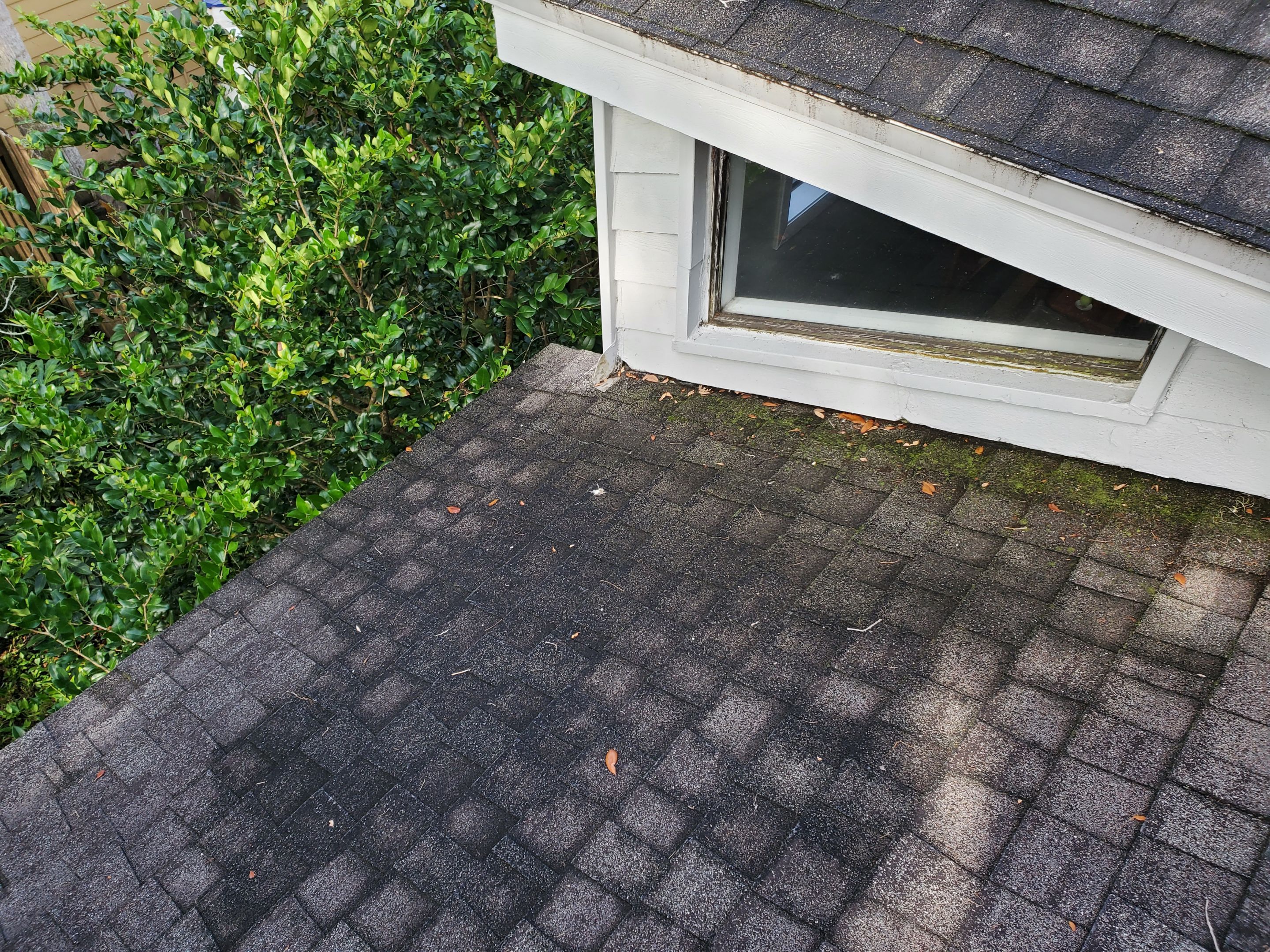 Shingle -> Shingle by Prime Roofing