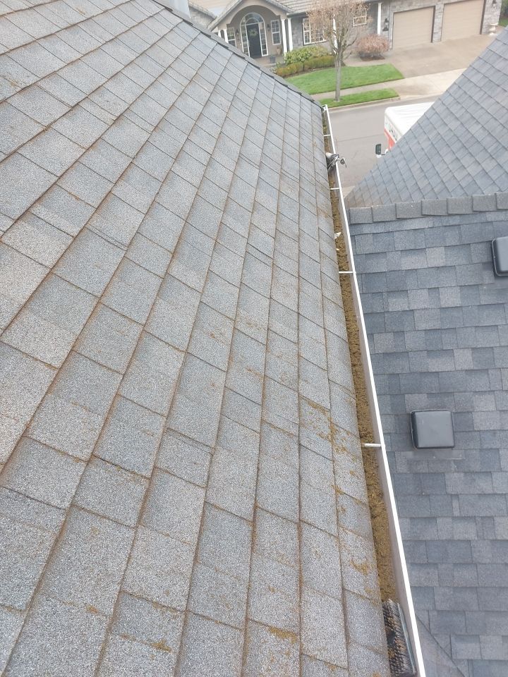 Roof Cleaning  using Moss Treatment  by BEST Roofing & Waterproofing