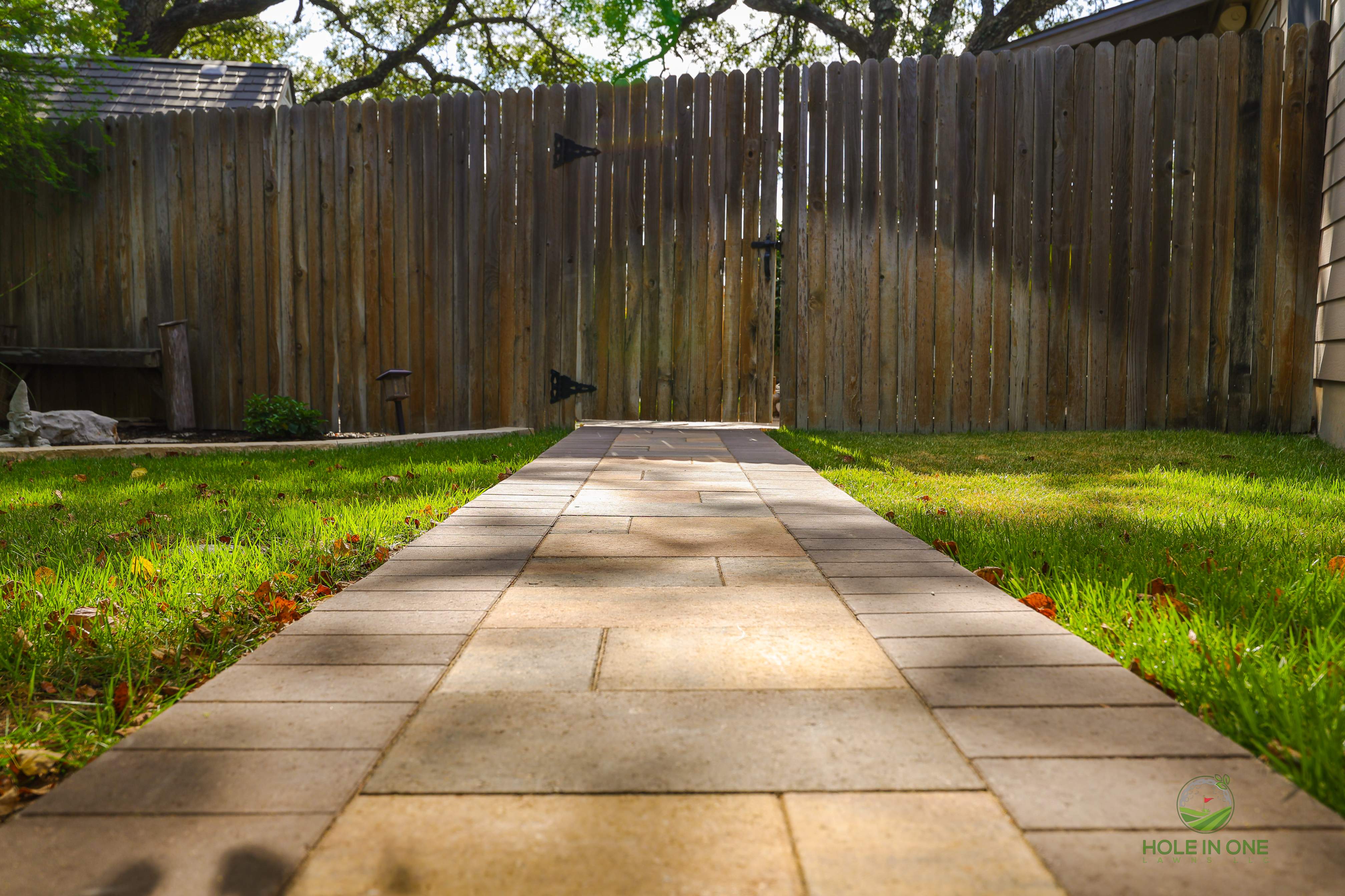 Wortham Oak, San Antonio TX by Hole In One Lawns, LLC