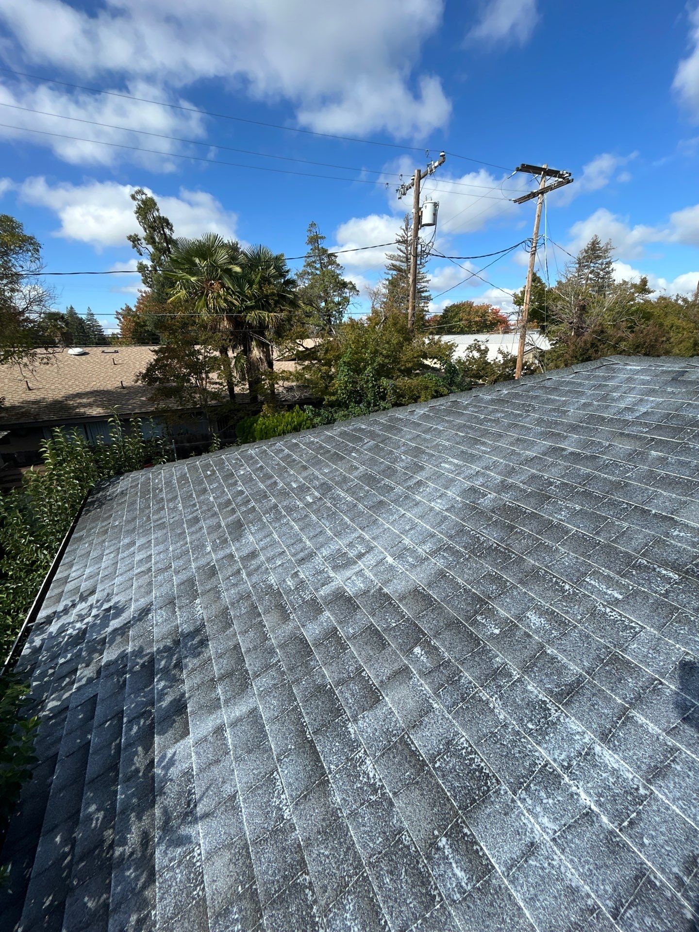 Roof Rejuvenation using Roof Maxx Treatment by Roof Maxx of Folsom