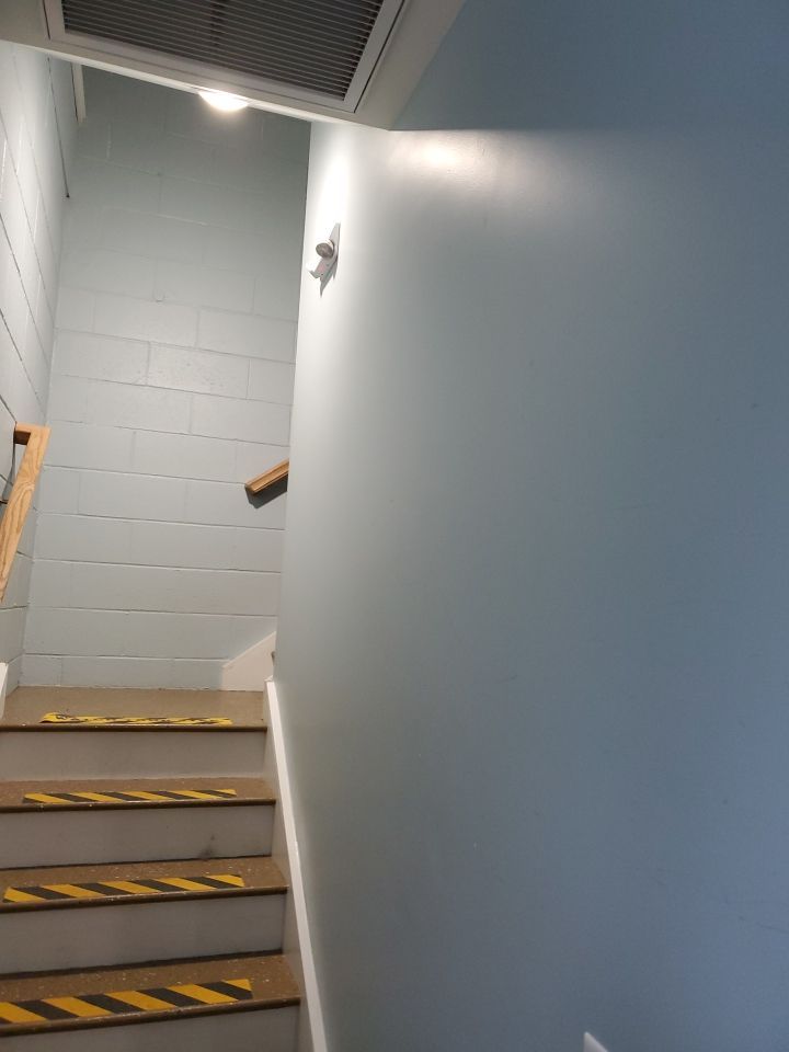 Kennel Floor Coating and Wall Painting using Penntek by Spectrum Painting, LLC