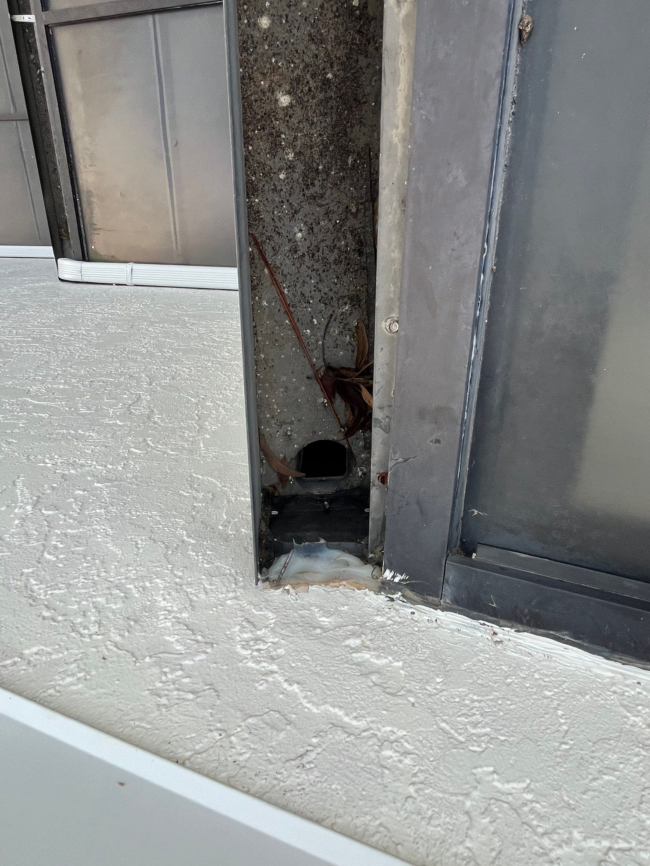 Professional Gutter Cleaning in Fort Myers FL by Gutter Professors