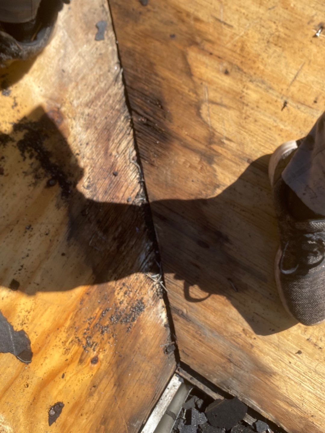 church using gaf hdz by Roof Bullies