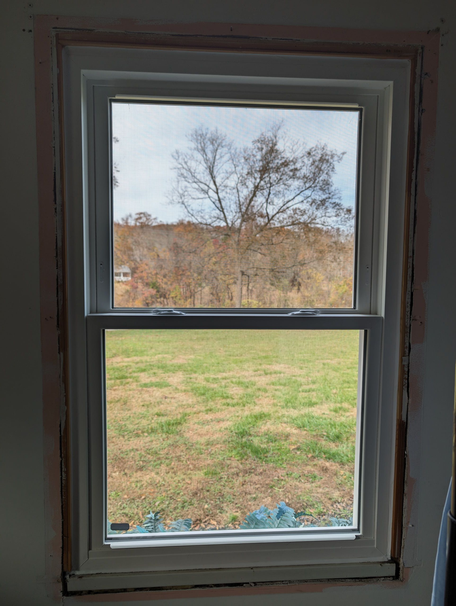 Window replacement using ProVia Aspect with black trim by Window Depot of Annapolis