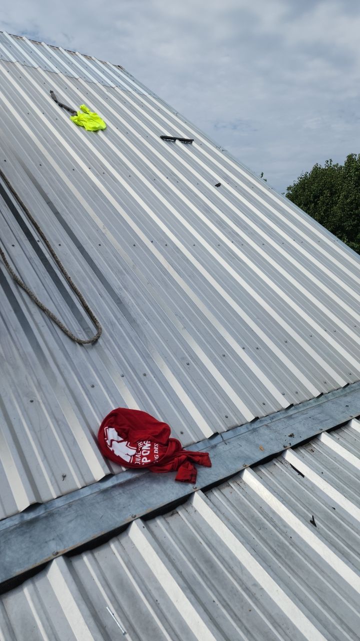 Ash Gray Exposed Fastener  by Reimagine Roofing