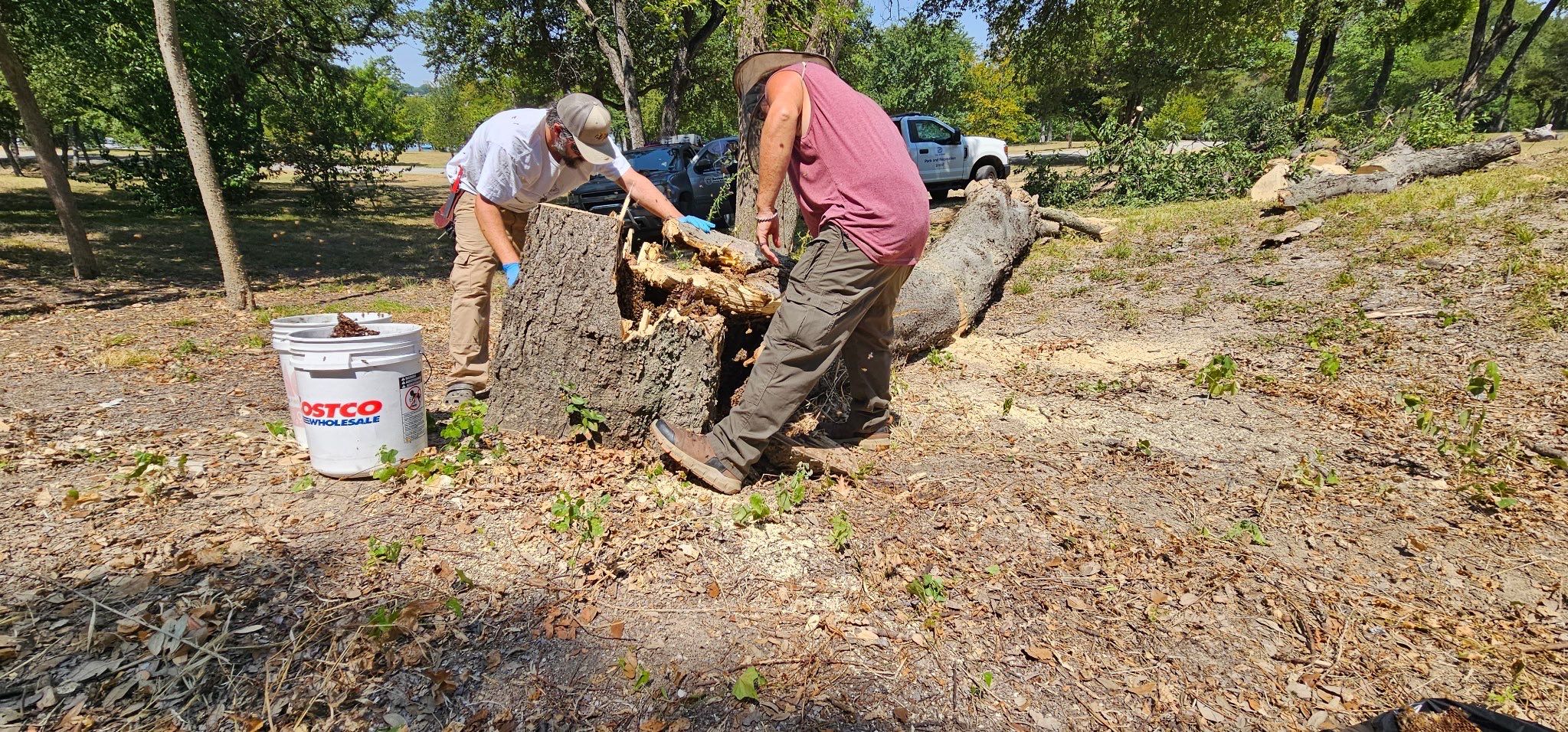 White Rock Tree by Rockwall Honey Bee Company