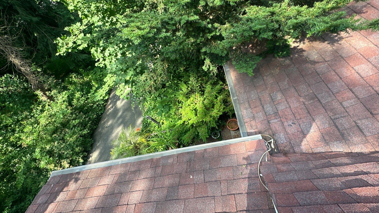 Very overdue gutter cleaning and screening by Above All Gutters 